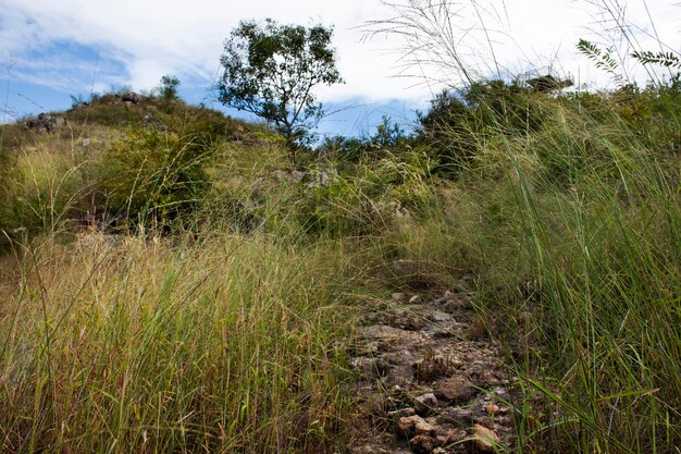 View landscape with mountain forest of khao lon adventure for\
thai people and foreign travelers travel visit rest relax hiking\
trekking on viewpoint in jungle at sarika city in nakhon nayok\
thailand