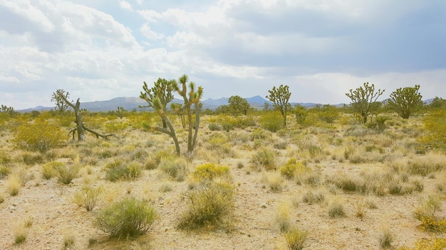 Photo view of landscape