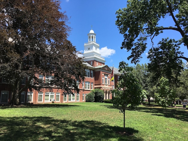 View of lawn against blue sky