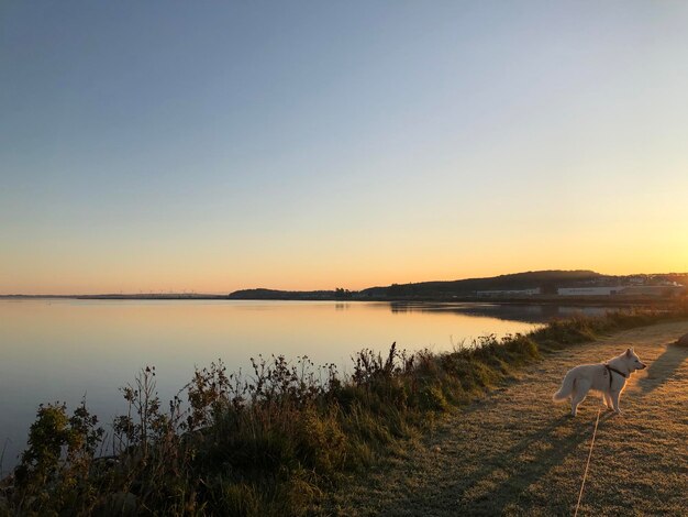 Foto vista del limfjorden a nibe al mattino