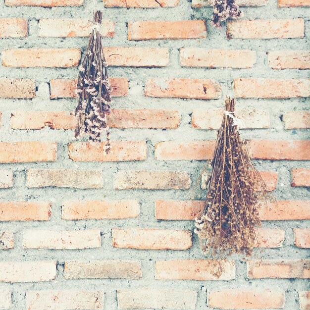 Photo view of lizard on brick wall