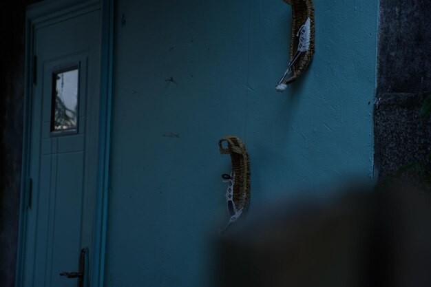 Photo view of lizard on wall