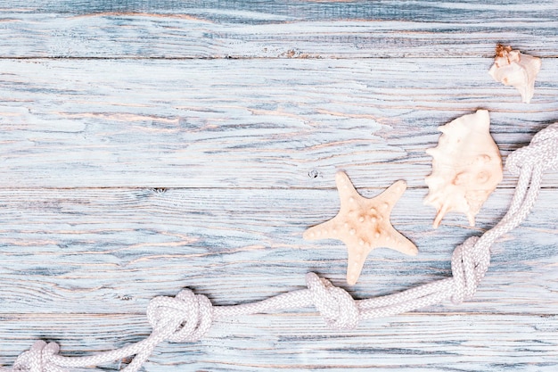 View of lizard on wood