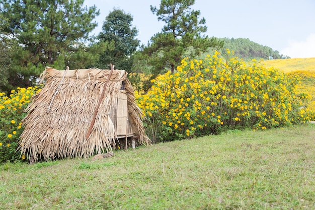 Photo view of log on field against sky