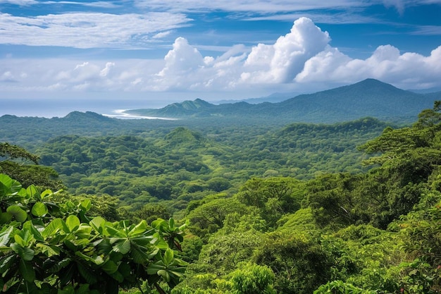 a view of a lush green forest with a body of water in the distance