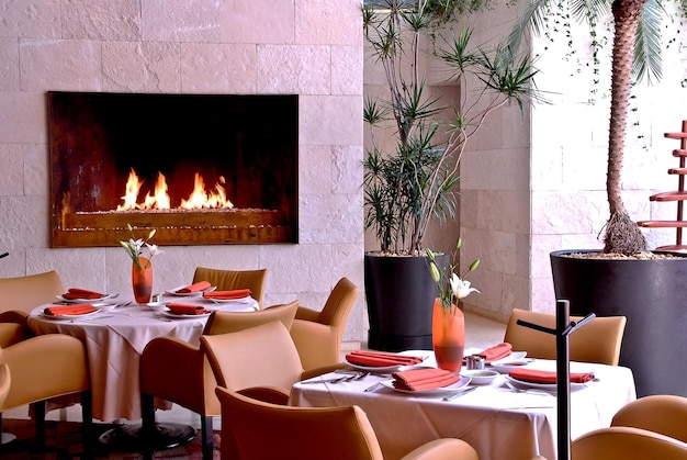 view of a luxury restaurant with a fireplace decorated with vases and plants interior in a modern