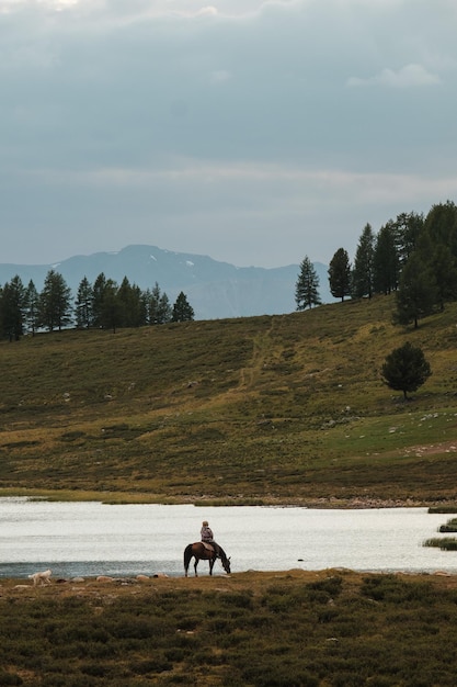 アルタイ共和国のウラガン地区にある山の湖を背景にした馬に乗ったmA羊飼いの様子アルタイ共和国のウラガン地域にある噴水湖