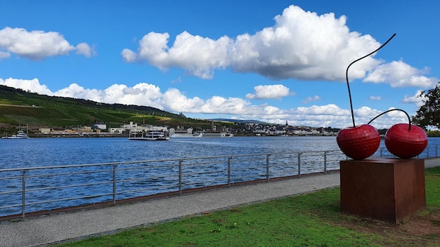 View of the Main river, modern typical German houses, ship, vineyards, and big embankment with monument.