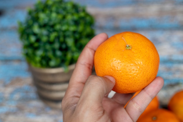 View of mandarins on wood