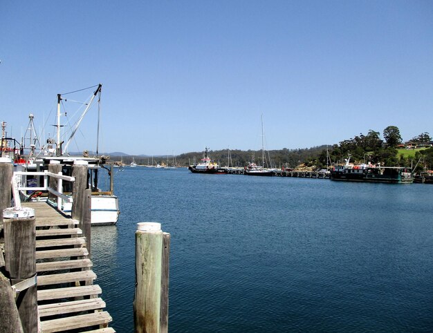 View of marina at harbor against clear blue sky