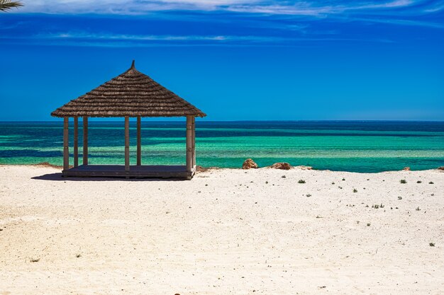 View of the mediterranean coast with a beach with white sand and a green palm tree in djerba island, tunisia