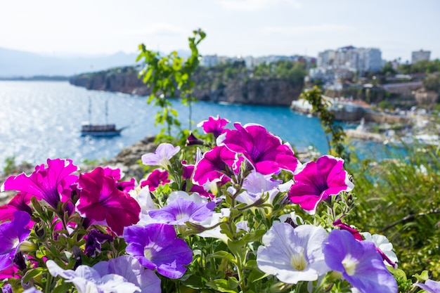 전경에서 밝은 꽃을 통해 안탈리아의 지중해 포트보기