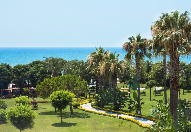 View of the Mediterranean Sea, palms and green park