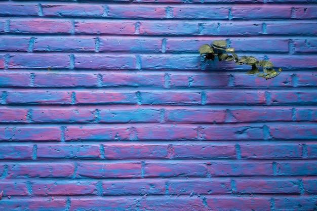 view of mexican urban architecture and culture