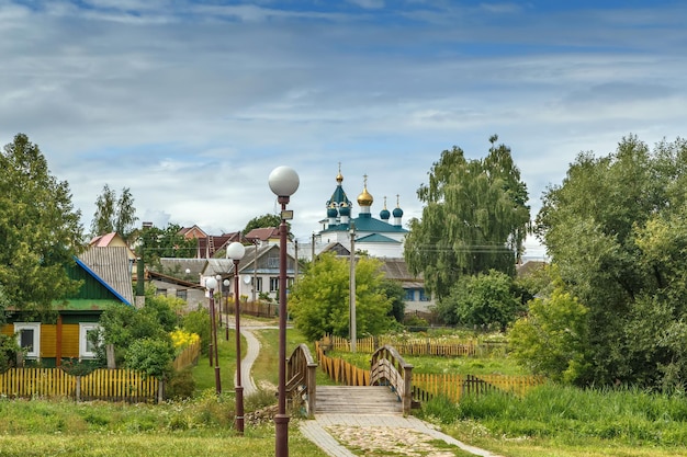 Foto la vista del villaggio mir in bielorussia