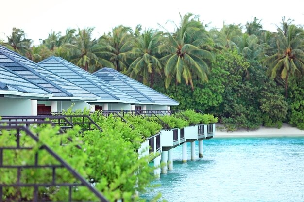 View of modern beach houses on piles at tropical resort