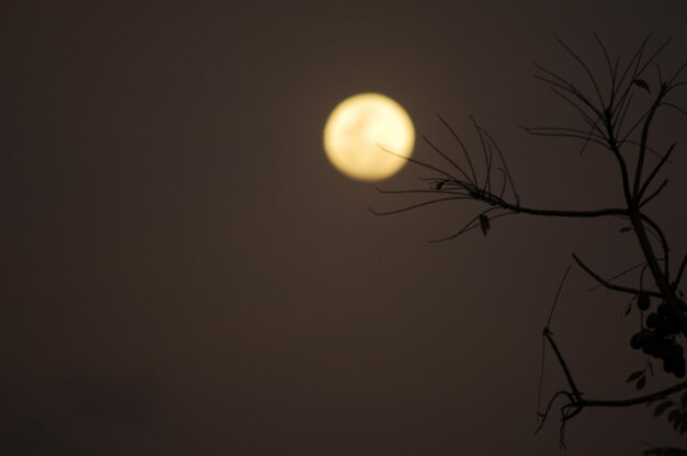 view of moon in sunlight