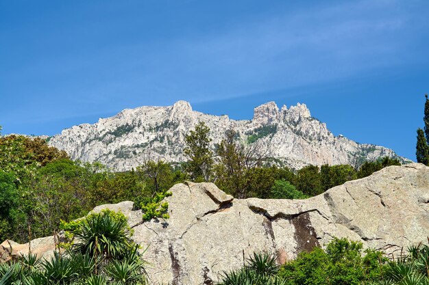 Photo view of mount aipetri from the vorontsov palace