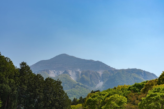 View of Mount Buko or Bukozan with beautiful full bloom of Purple pink Wisteria blossom trees