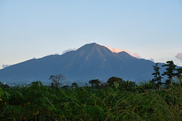 A View of Mount Salak in the Waning Light