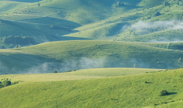 View of mountain hills morning mist spring greenery