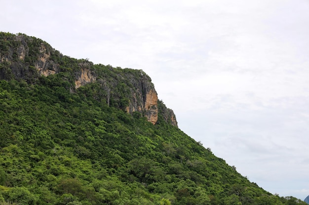 Vista della montagna e del parco naturale in tailandia