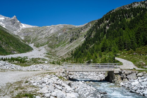 View to the mountain peak