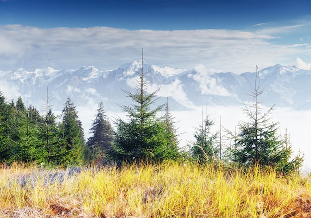 View of mountain peaks in spring