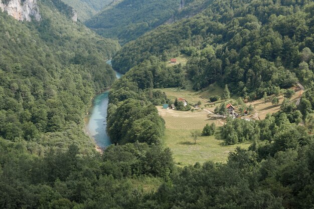 View of the mountain river in the green canyon from above. travel in the mountains