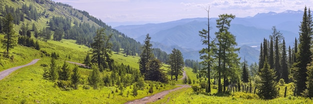 View of the mountain valley from the pass. Summer greens, trees, haze.