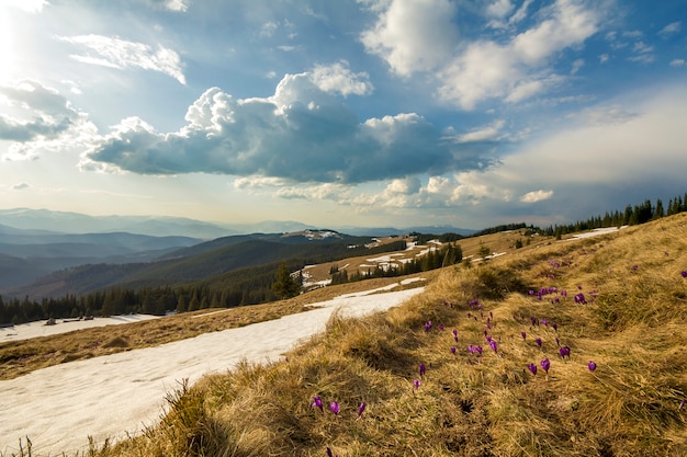 View of mountain valley with dry grass and spots of snow, distant mountain range stretching to horizon on sunny blue sky copy space 