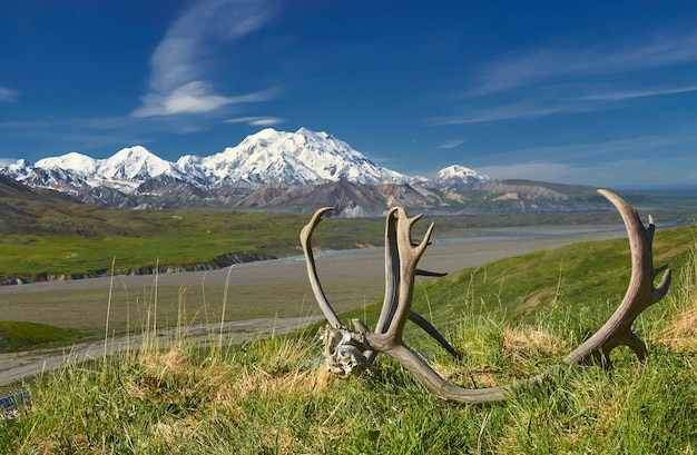 View mountain with antler on the terrain