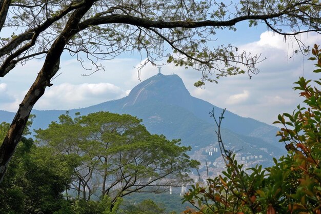 a view of a mountain with trees in the foreground