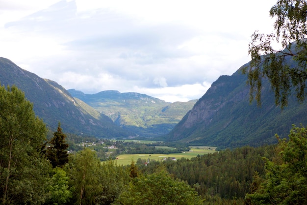 Вид на гористую местность на севере Норвегии. Великолепная норвежская природа.