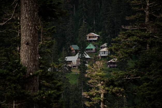 View of the mountains covered with forest and little houses on the hill