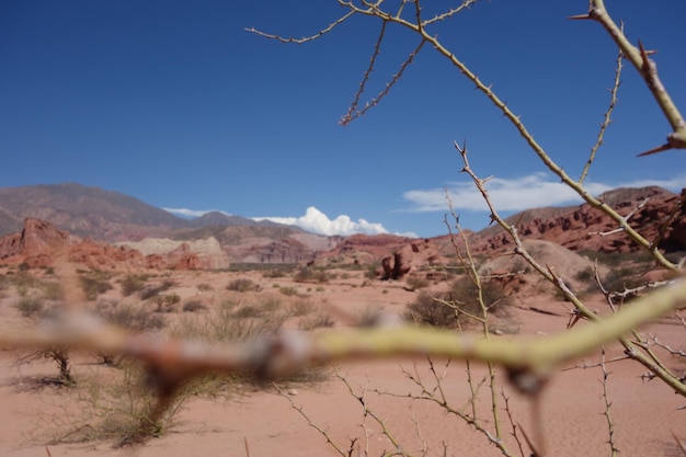 砂漠から見える山の景色