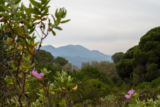 A view of the mountains from the garden of the hotel