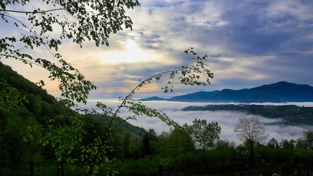 A view of the mountains from the property