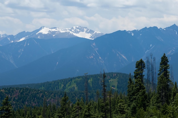 a view of the mountains from the trail