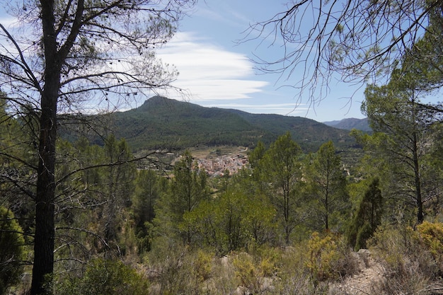 A view of the mountains from the trail