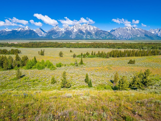 A view of the mountains from the trail.