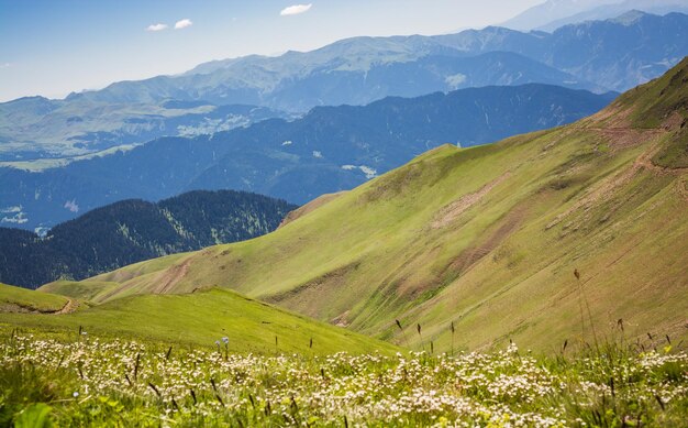 View of mountains in the highlands of artvin in turkey