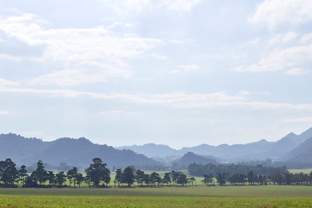 view of mountains jungle and field in Thailand