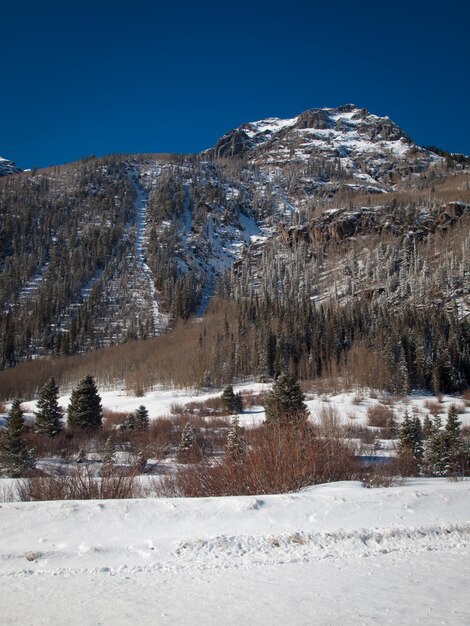 A view of the mountains near Ouray, Colorado.