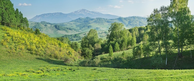 Photo view of mountains in spring greenery of forests and meadows