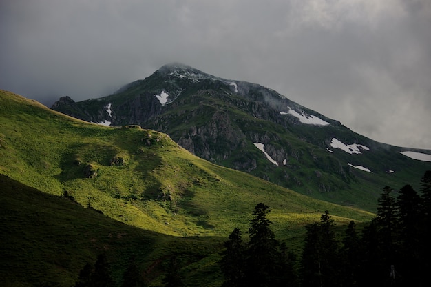 Вид на горы под белыми облаками на переднем плане вечнозеленых деревьев