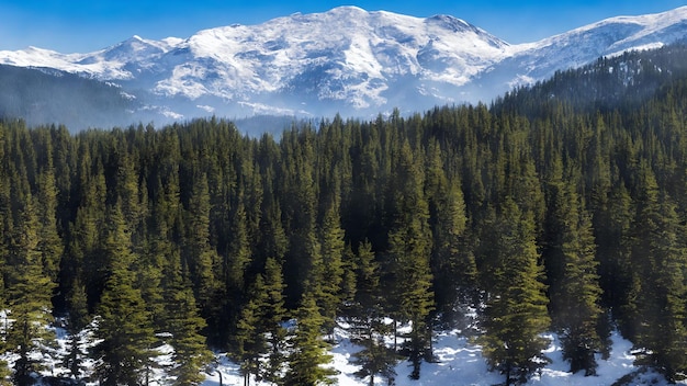 A view of the mountains in the winter