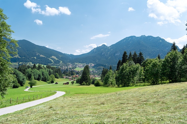 View of the mowed grass and the road going into the distance against the backdrop of mountains.