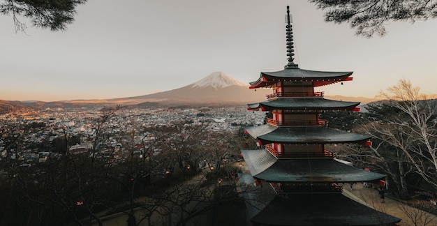 View of mt. fuji and chureito pagoda in tokyo, japan