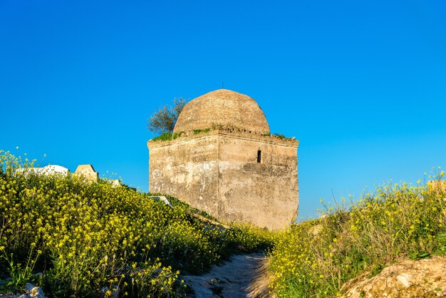 メクネスのイスラム教徒の墓地の眺め-モロッコ